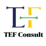 TEF Consult